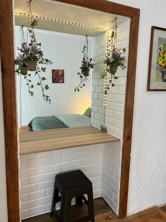 Guest House Rusu براشوف المظهر الخارجي الصورة