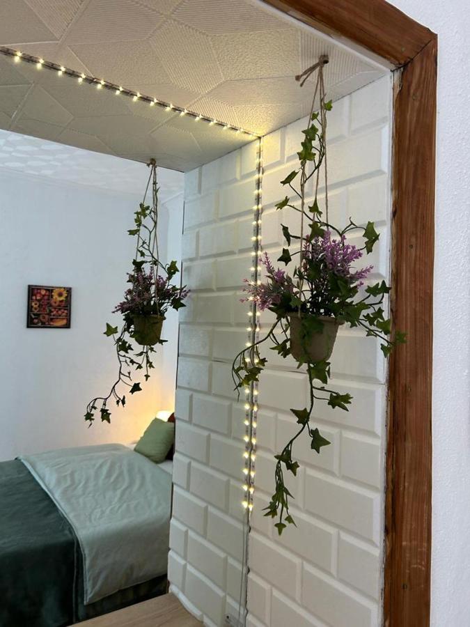 Guest House Rusu براشوف المظهر الخارجي الصورة