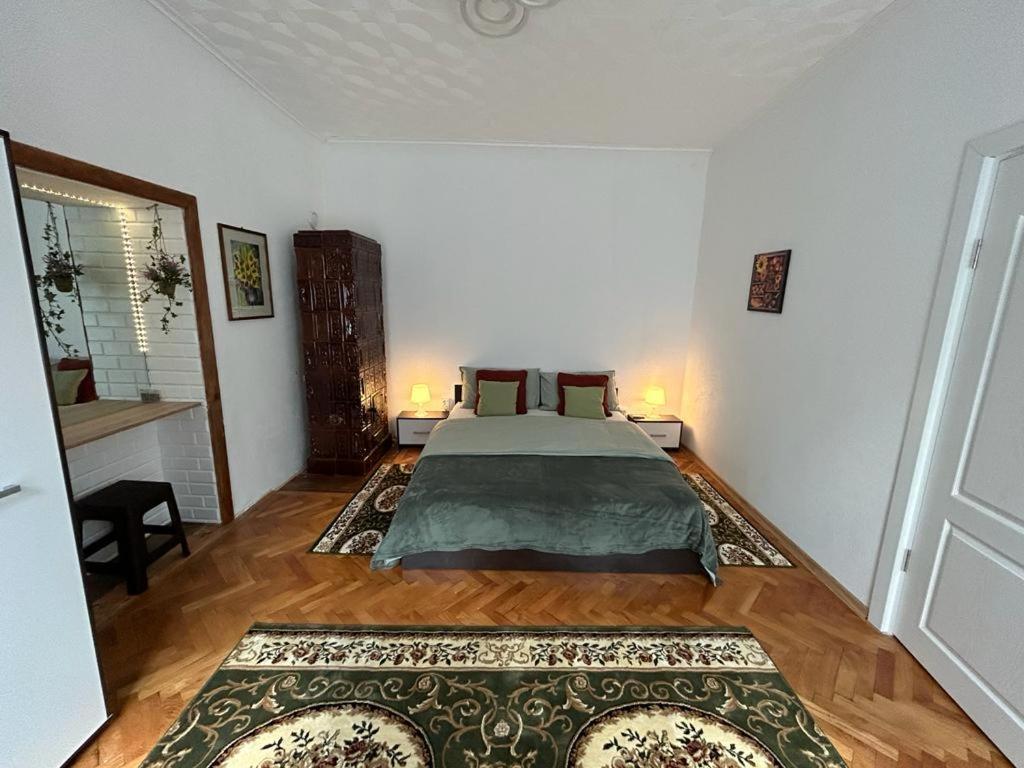 Guest House Rusu براشوف المظهر الخارجي الصورة