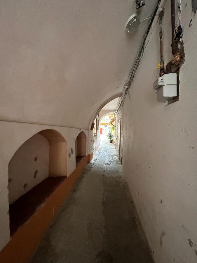 Guest House Rusu براشوف المظهر الخارجي الصورة