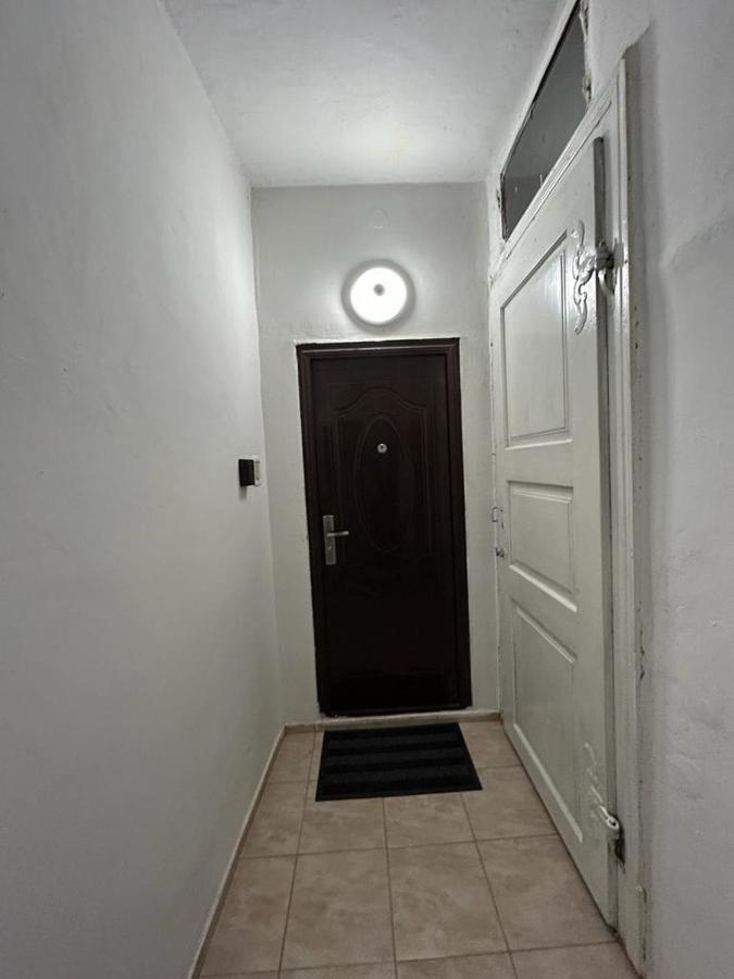 Guest House Rusu براشوف المظهر الخارجي الصورة